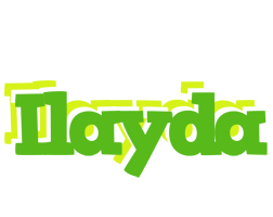 Ilayda picnic logo