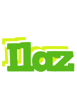 Ilaz picnic logo