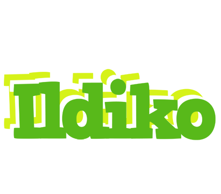 Ildiko picnic logo