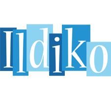 Ildiko winter logo