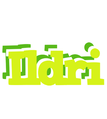 Ildri citrus logo