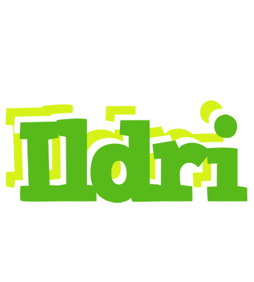 Ildri picnic logo