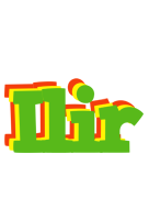 Ilir crocodile logo