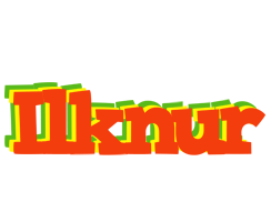 Ilknur bbq logo