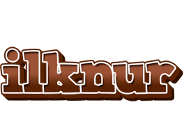 Ilknur brownie logo