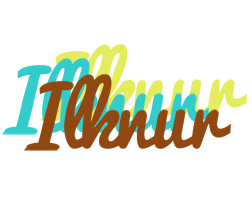 Ilknur cupcake logo