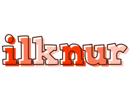 Ilknur paint logo