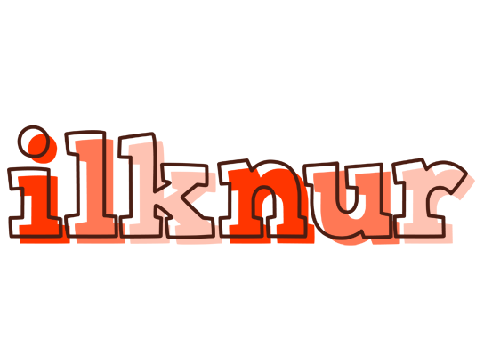 Ilknur paint logo
