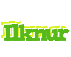 Ilknur picnic logo