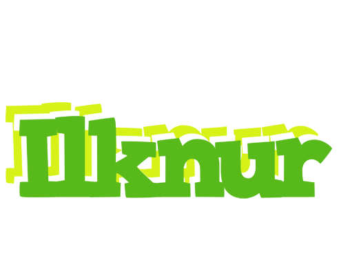 Ilknur picnic logo