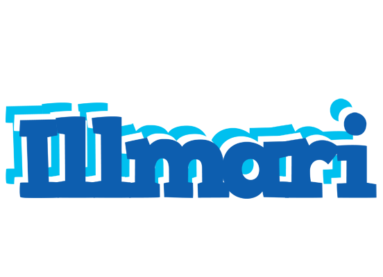 Illmari business logo