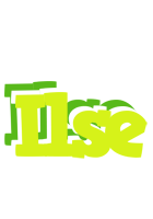 Ilse citrus logo