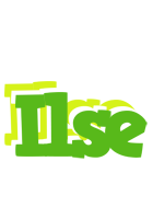 Ilse picnic logo