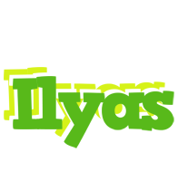 Ilyas picnic logo