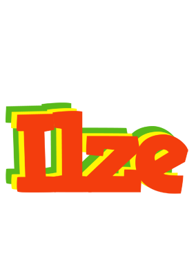 Ilze bbq logo