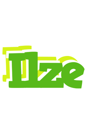 Ilze picnic logo