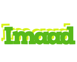 Imaad picnic logo