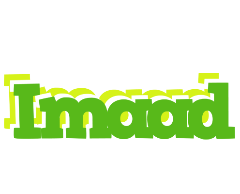 Imaad picnic logo