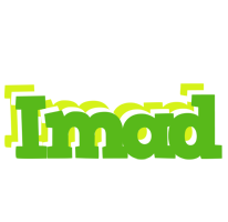 Imad picnic logo