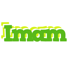 Imam picnic logo