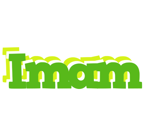 Imam picnic logo