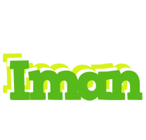 Iman picnic logo