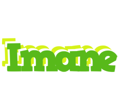 Imane picnic logo