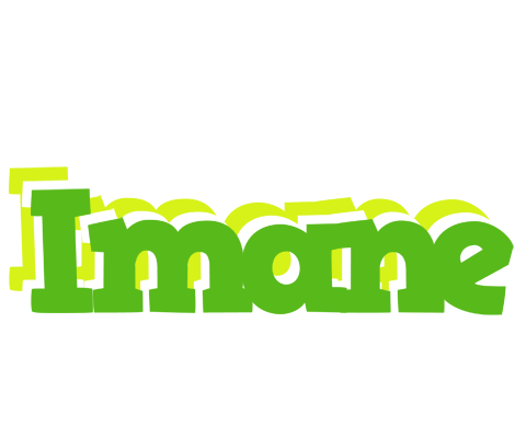 Imane picnic logo