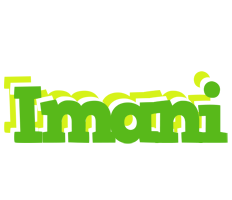 Imani picnic logo