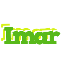 Imar picnic logo