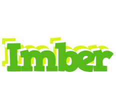 Imber picnic logo