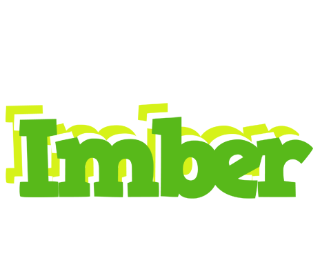 Imber picnic logo