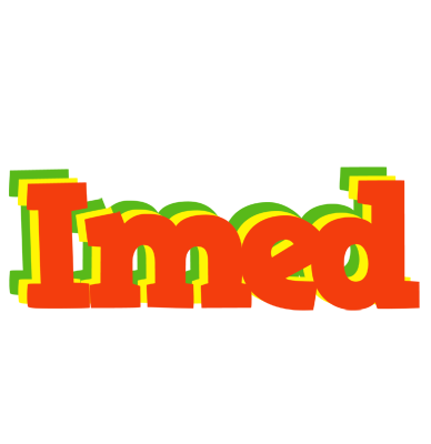 Imed bbq logo