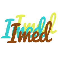 Imed cupcake logo