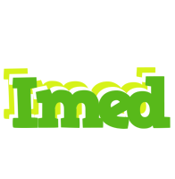 Imed picnic logo