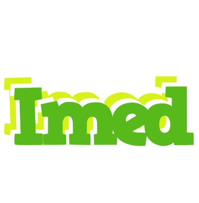 Imed picnic logo