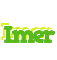 Imer picnic logo