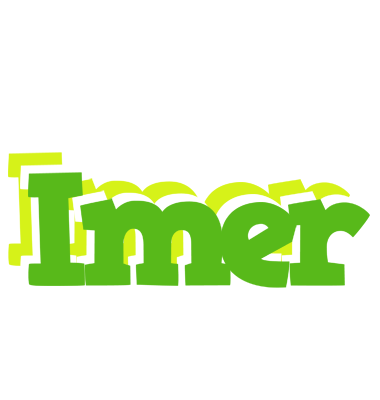 Imer picnic logo