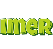 Imer summer logo