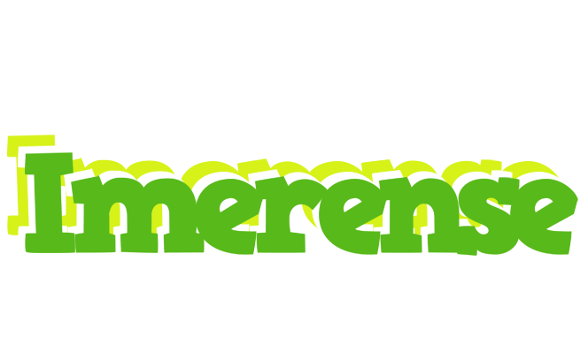 Imerense picnic logo