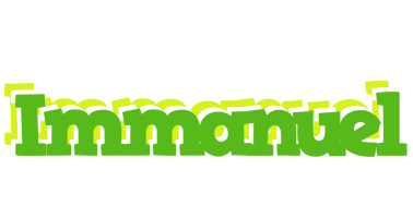 Immanuel picnic logo