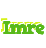 Imre picnic logo