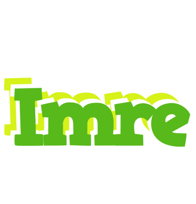 Imre picnic logo