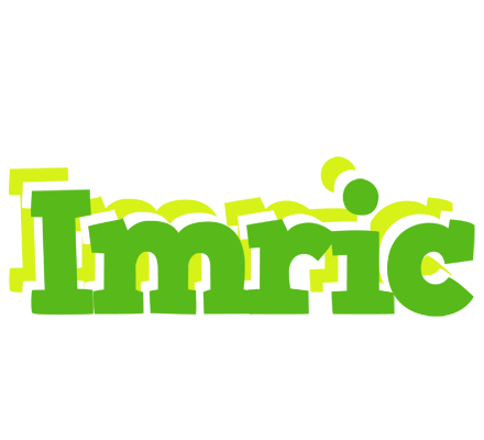 Imric picnic logo