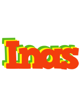 Inas bbq logo