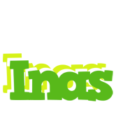 Inas picnic logo