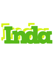 Inda picnic logo