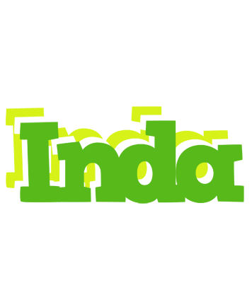 Inda picnic logo