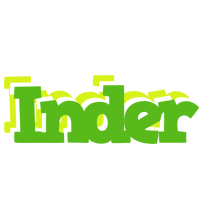 Inder picnic logo