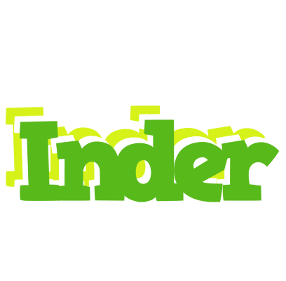 Inder picnic logo